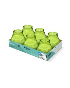 Twilight® (tray of 6's) Lime Green